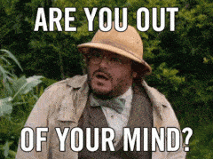 Are you out of your mind?
